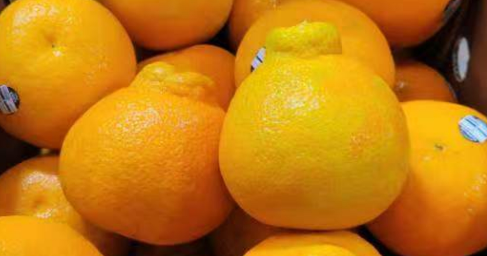 Fresh  Honey orange 3Ibs