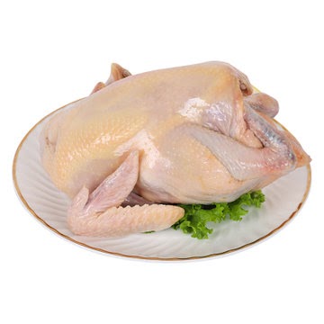 Morning fresh chicken