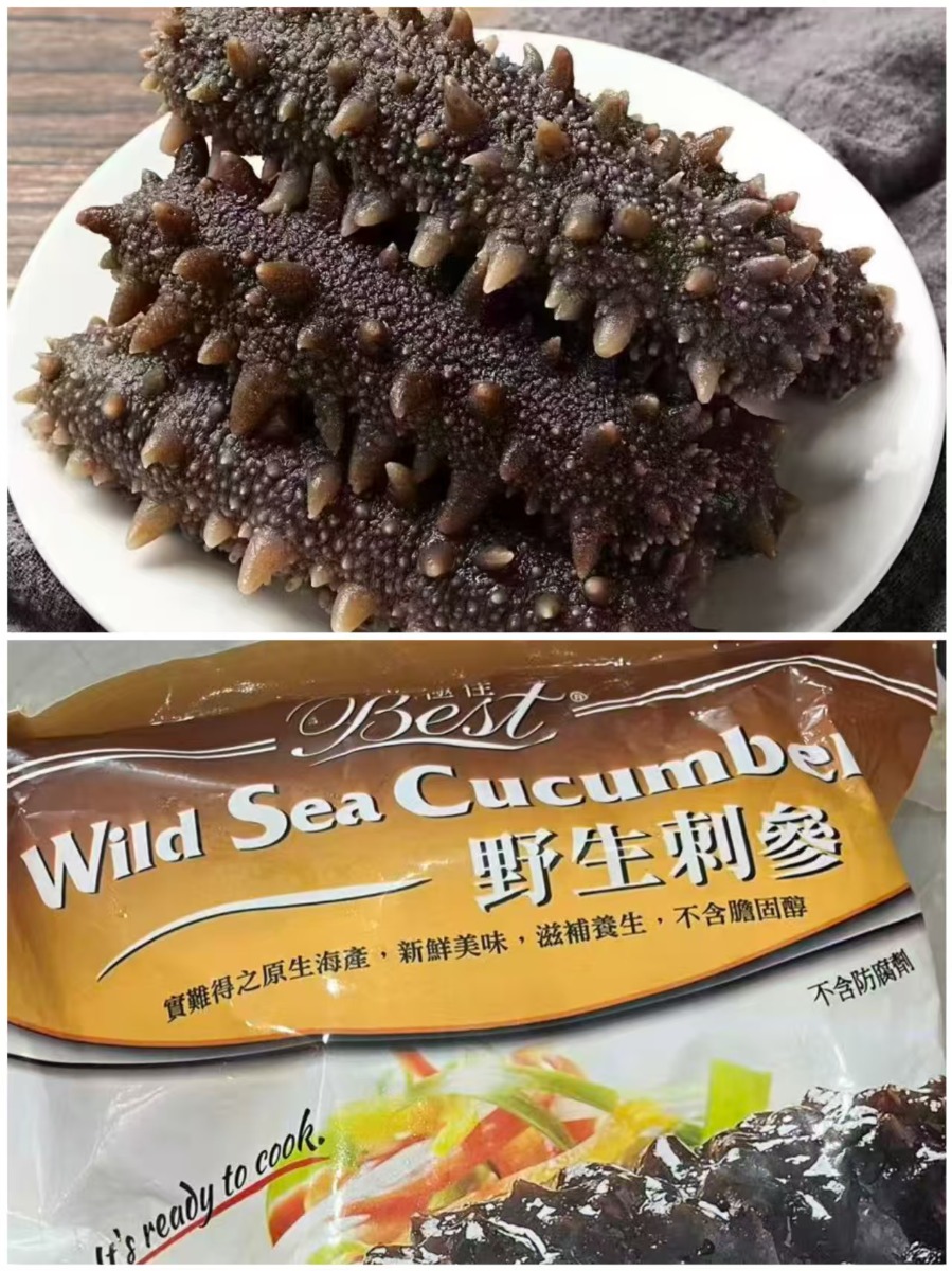 Wild caught Sea Cumcumber