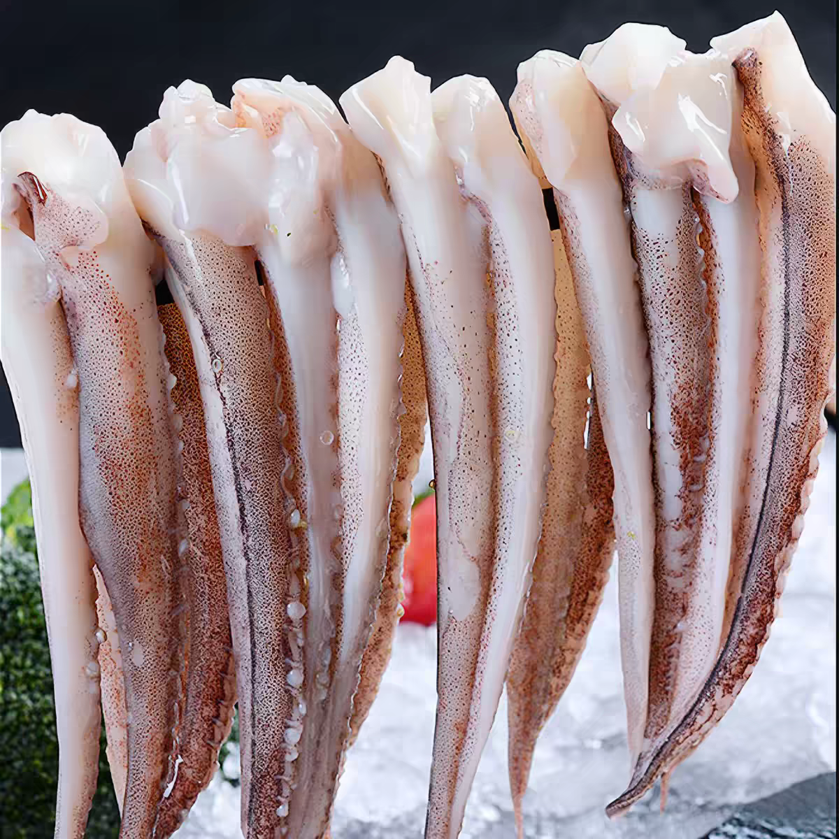 Octopus tentacle 2Ibs