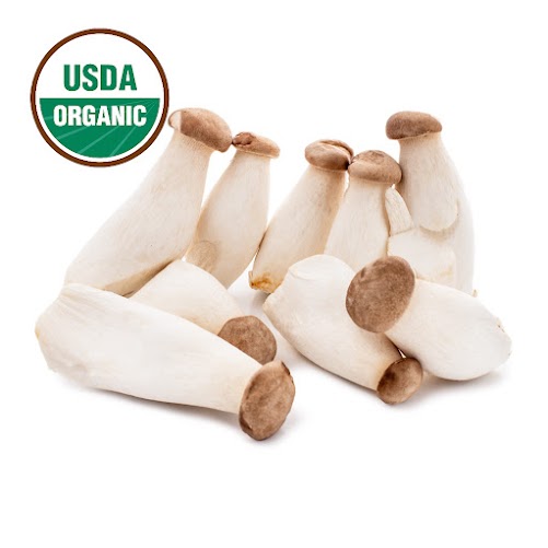 Organic King Oyster Mushroom 1Ib