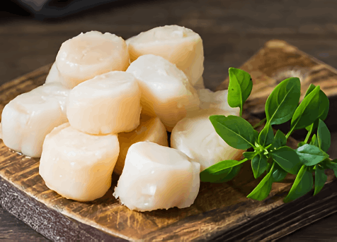 Wild caught small Scallop