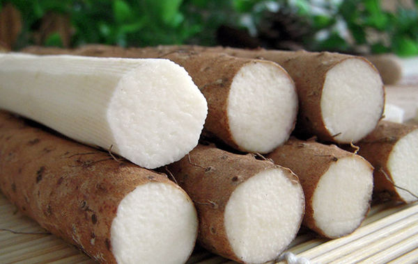 Iron nagaimo yam