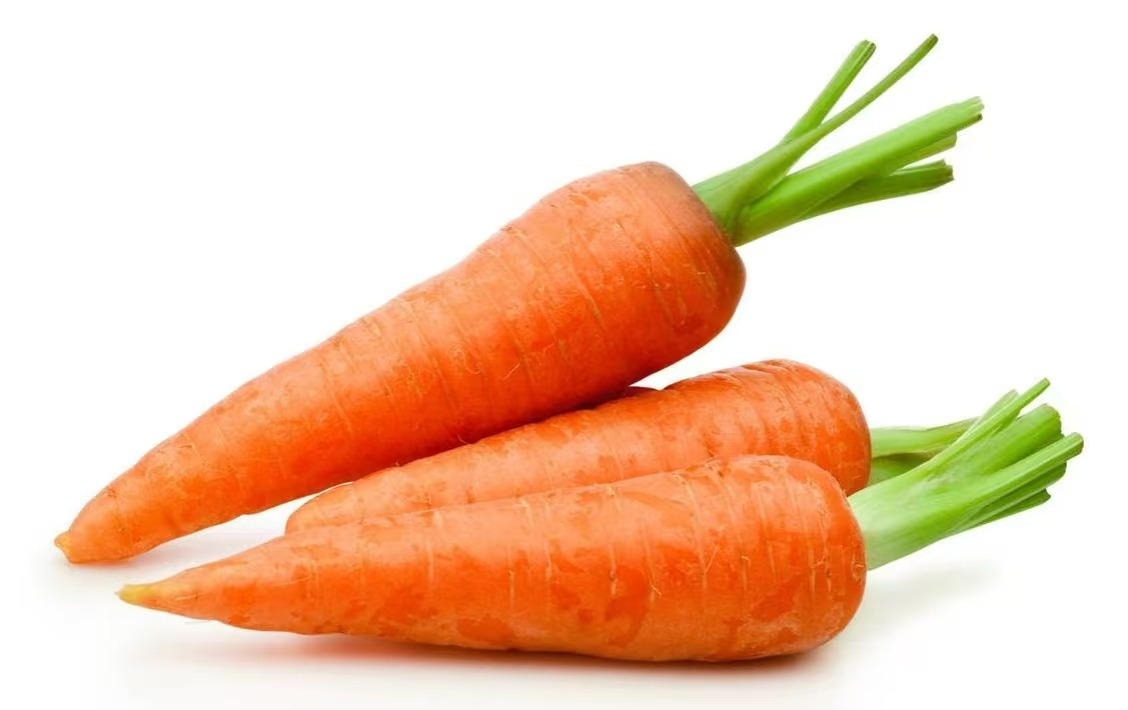 Carrot