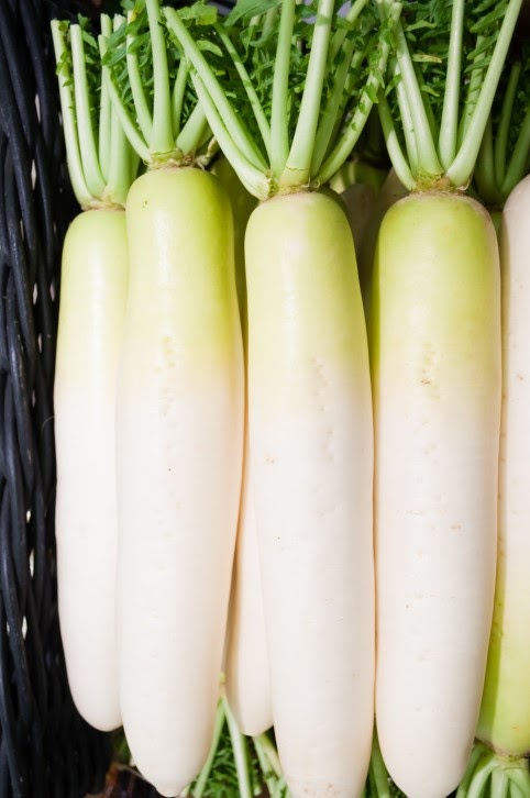 White Radish