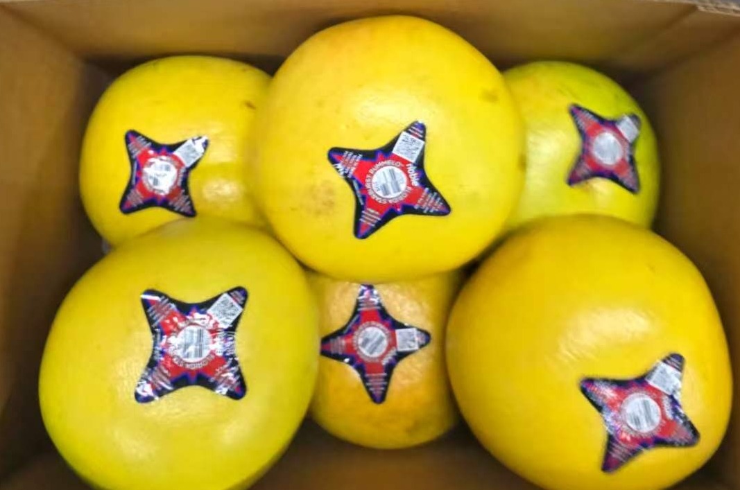 Florida Starburst Pummelo 1pc