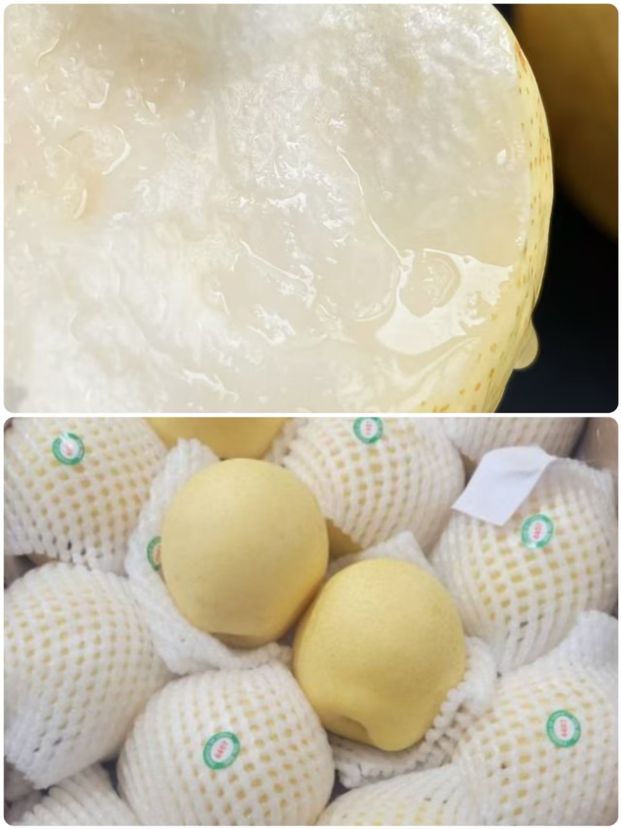 Asian Snow Pear 4pcs