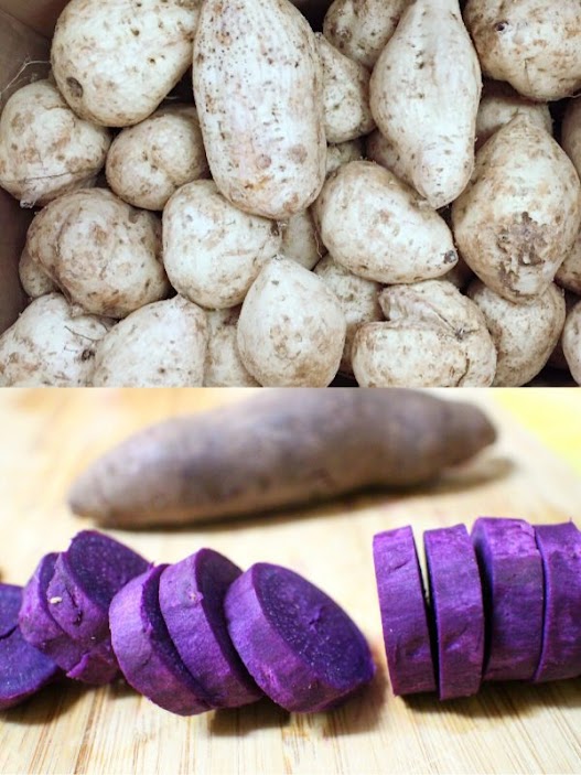 Hawaii Sweet Potato