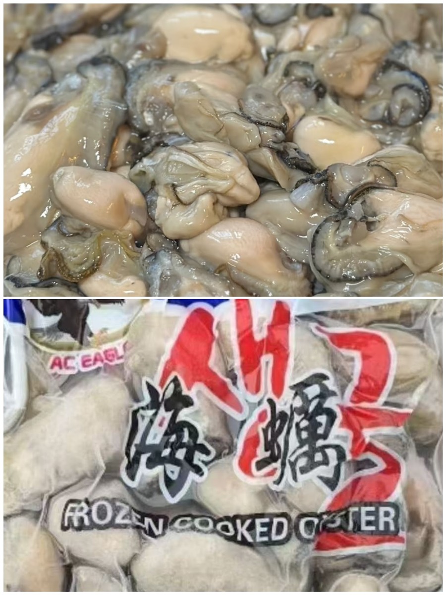 Oysters