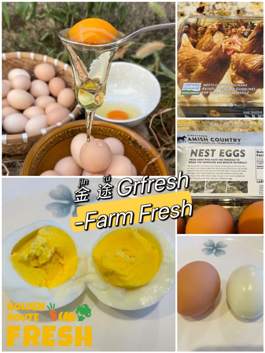 Amish Organic free range eggs 