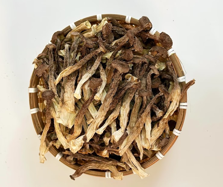 Deer Horn Mushroom 8oz