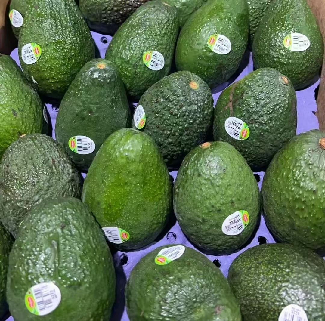 Avocado 6pcs