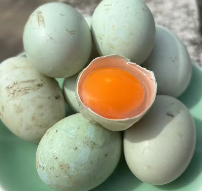 Mars organic farm fresh duck eggs 12pcs